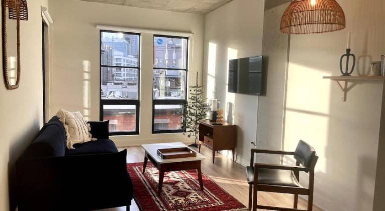 Fully equipped holiday apartment with pool & barbecue | Next to Notre-Dame Basilica | Pets are welcome in Montréal, QC