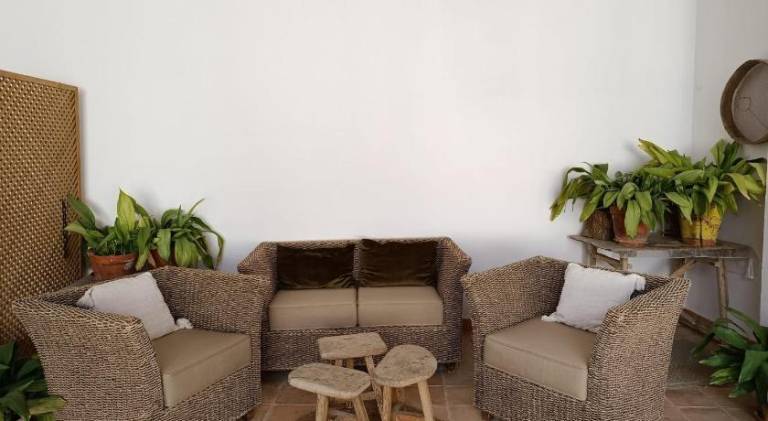 Nice holiday apartment with terrace | Pets are welcome — photo 2