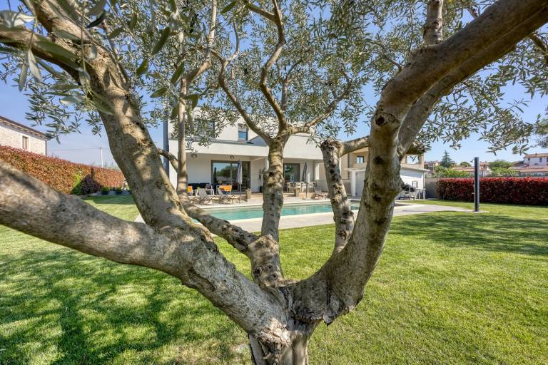Fully equipped spacious villa with private pool, garden & terrace | Pets are welcome — photo 3