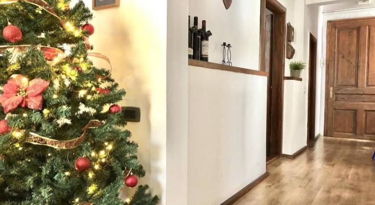 Holiday apartment | Pets are welcome — photo 3