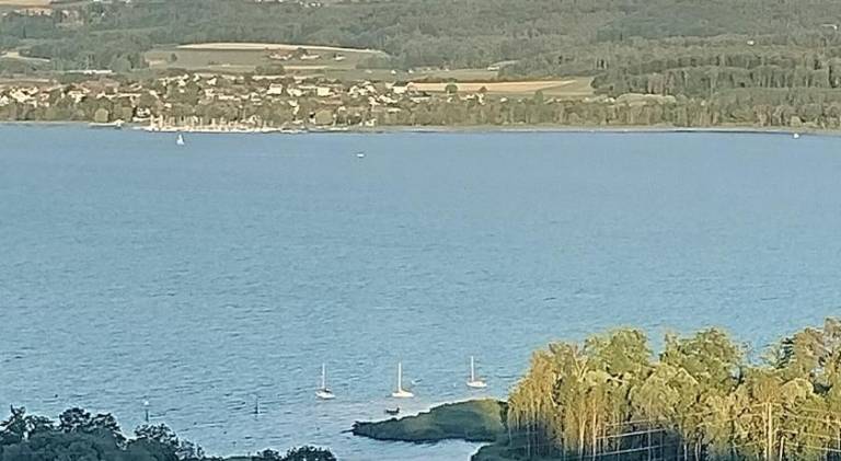 Swiss Borzoi House in Murten