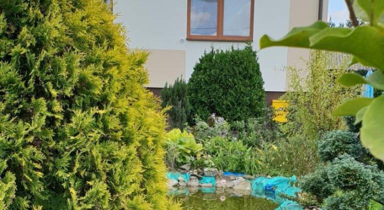 Agroturystyka Przybynów