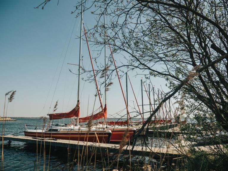 foto24