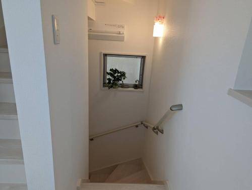foto7