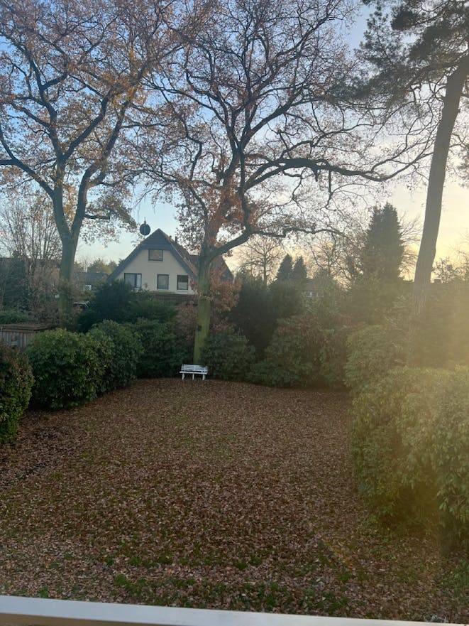 foto19