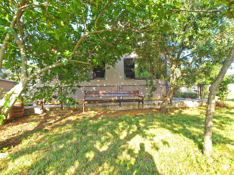 House with terrace & barbecue — photo 5