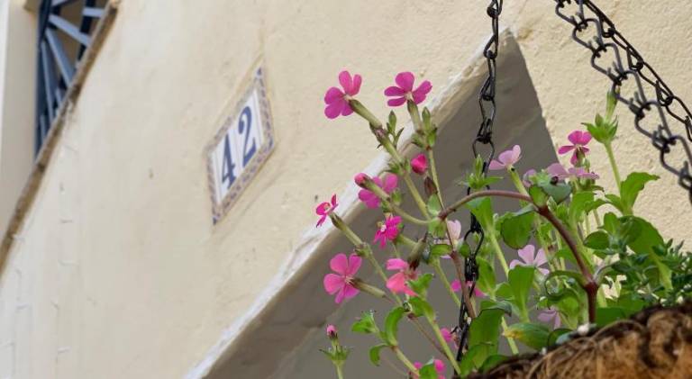 Holiday apartment with 1 room for 4 persons — photo 3