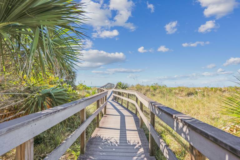 Beach Life 2 — photo 3