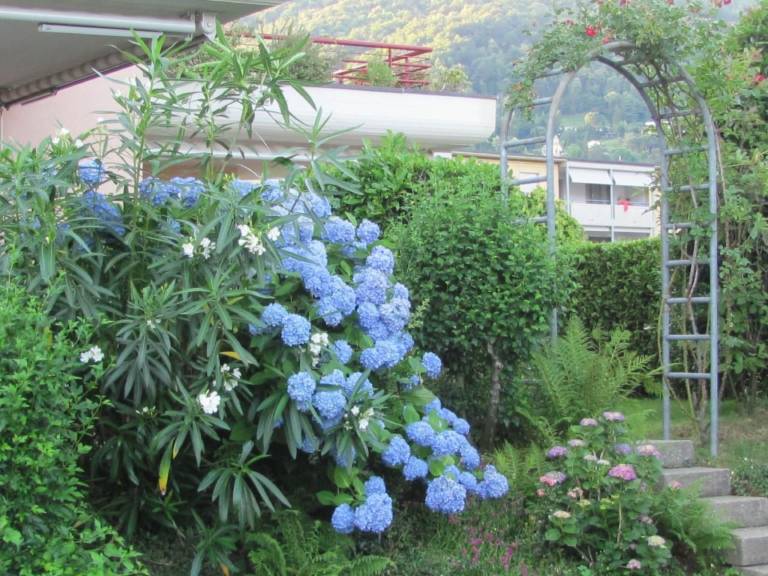 foto11