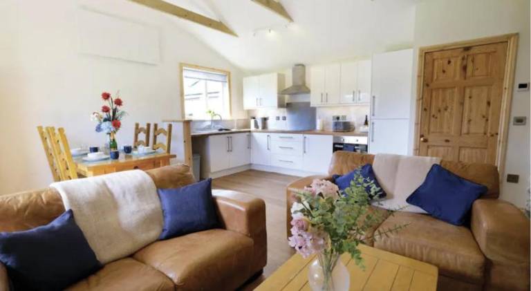 House with garden, jacuzzi & grill in Swansea