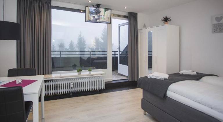 Holiday apartment with patio & private pool | Next to the ski | Pet-friendly — photo 2