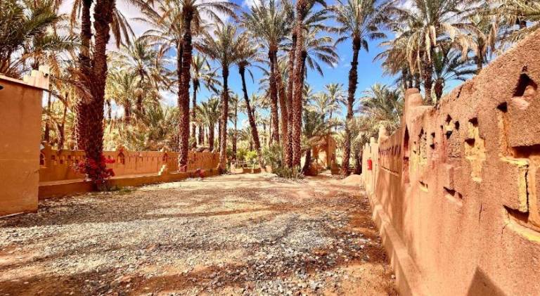 Serenity Lodge Zagora Guest House Restaurant & Desert Excursions — photo 4