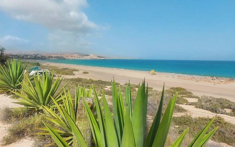 Casa Costa Calma
