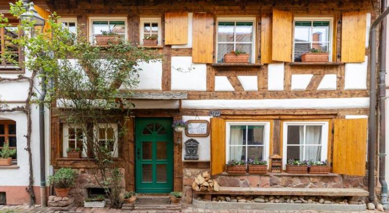 Vacation home with hot tub in Ringsheim