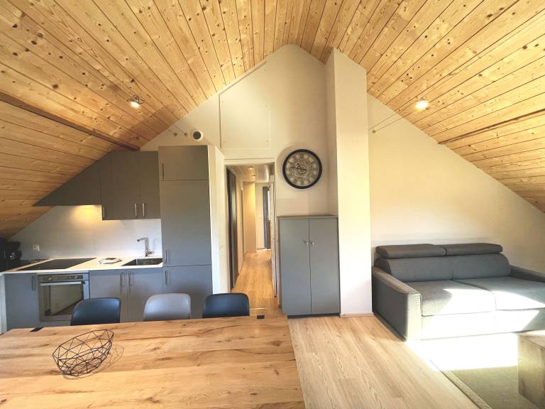 Appartement Faverges