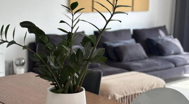 130 m&sup2; Ferienhaus