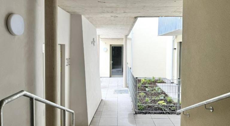 Charming holiday apartment | Pets are welcome — photo 3