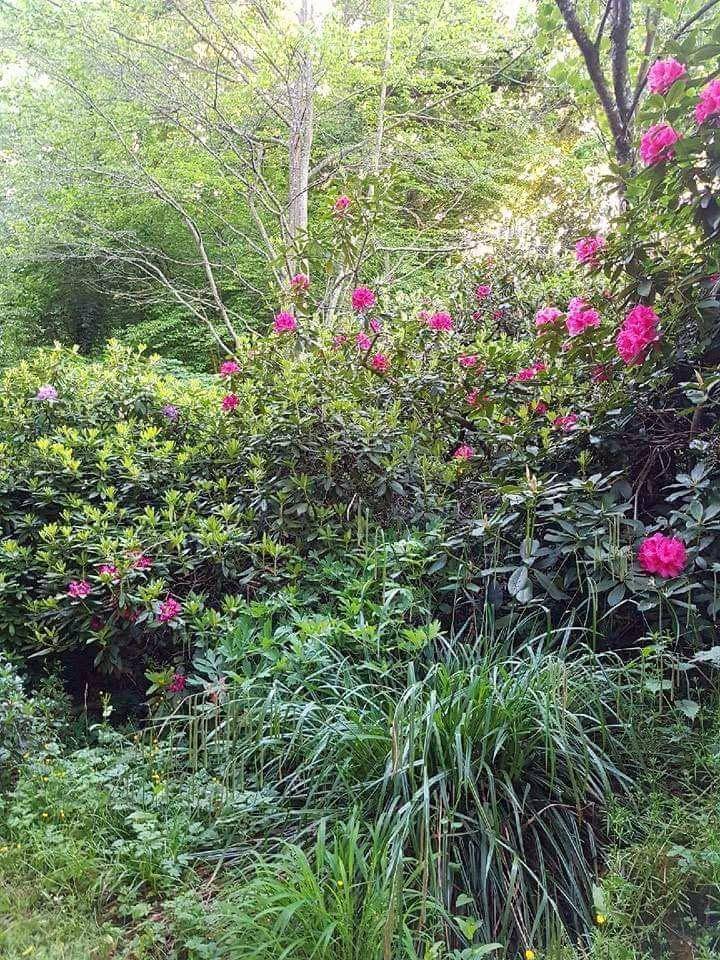 foto15