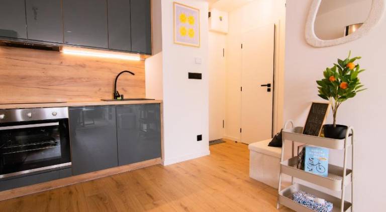 Apartment with 1 room for 4 persons — photo 4