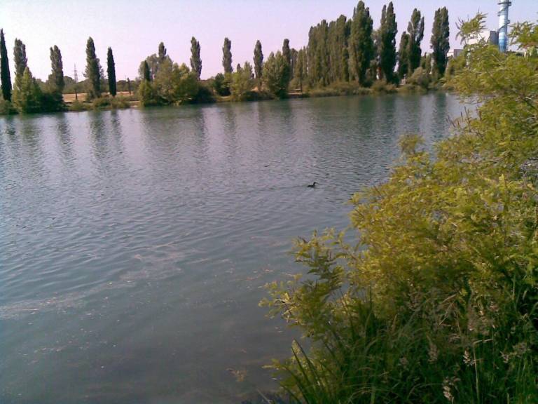 foto15