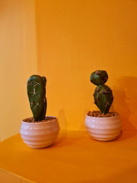 foto17