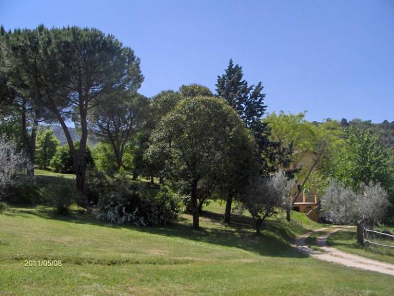 foto6