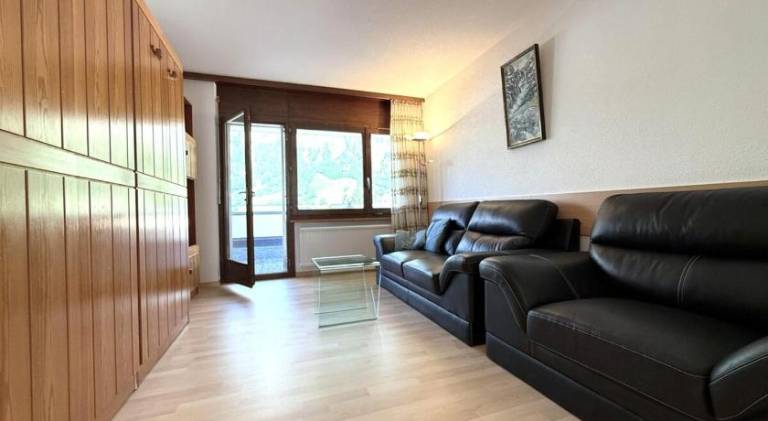 Pleasant holiday apartment | Close to the ski | Dogs allowed — photo 3