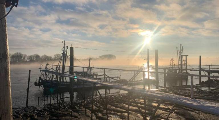 Ferienwohnung Brake (Unterweser)