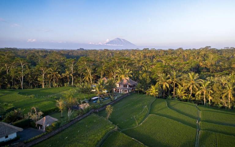 Amala Villa Ubud in Tegallalang