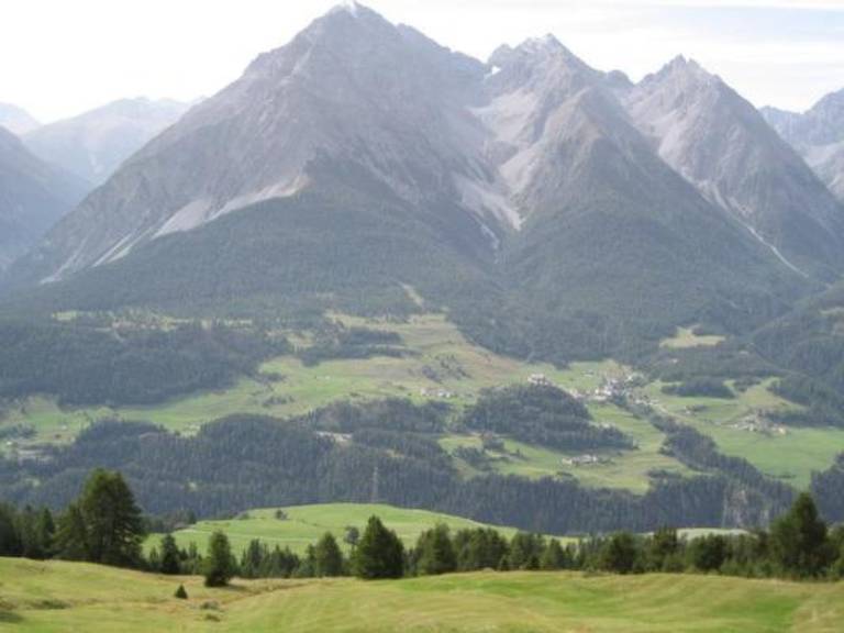 Ferienwohnung Forsthaus Falkenstein — photo 3