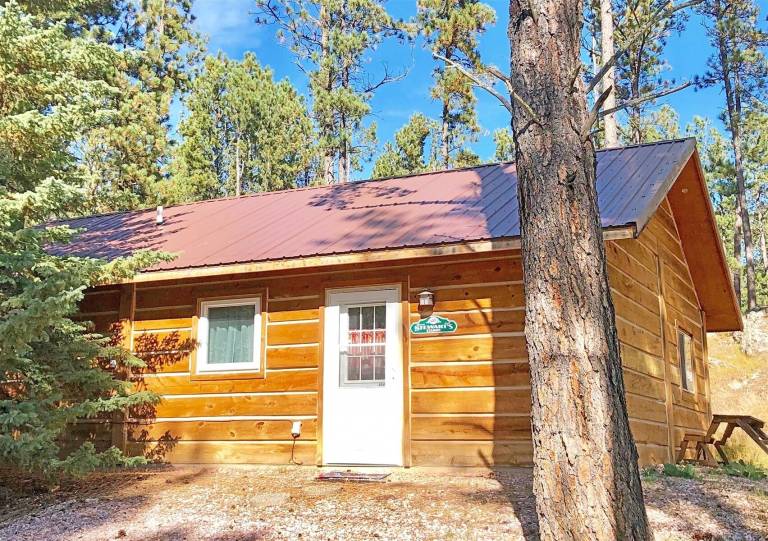 Cabin Custer