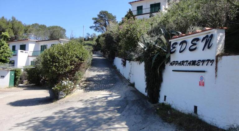 Holiday apartment | Close to the beach | Dogs allowed — photo 4