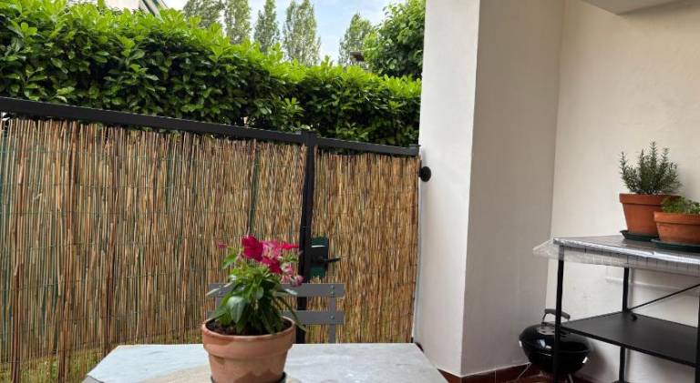 Wonderful holiday apartment | Dogs allowed — photo 4