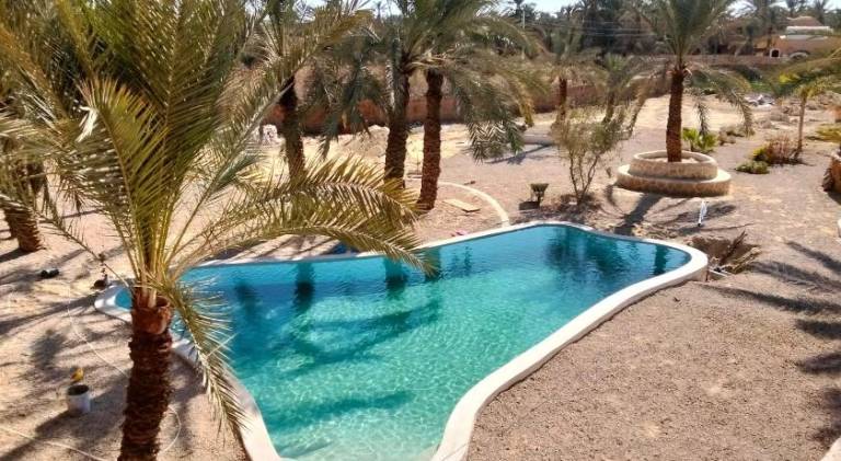 Paloma Camp — photo 5