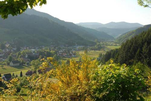 foto4