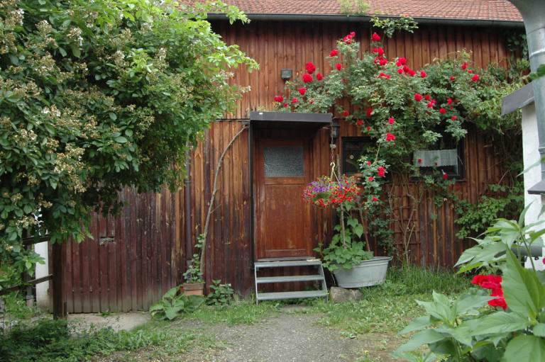 foto10