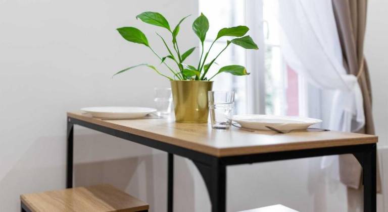 Nice holiday apartment | Near Capitole de Toulouse | Good for workation | Dogs allowed — photo 5