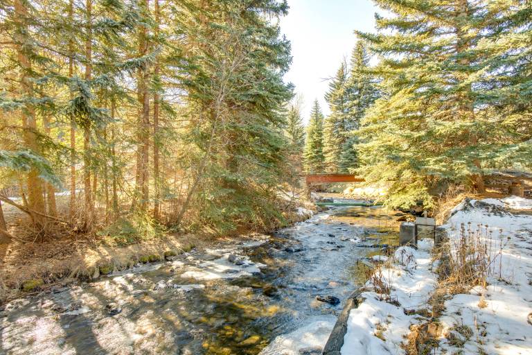 Charming Idaho Springs Retreat on Chicago Creek! — photo 2