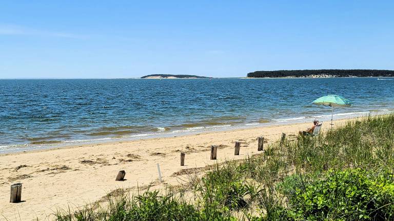 Cottage Wellfleet