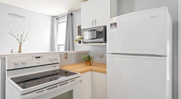Beautiful rental apartment | Pets are welcome — photo 4