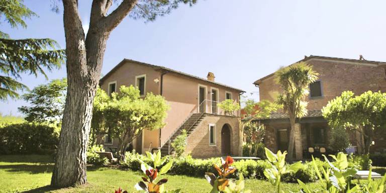 foto1