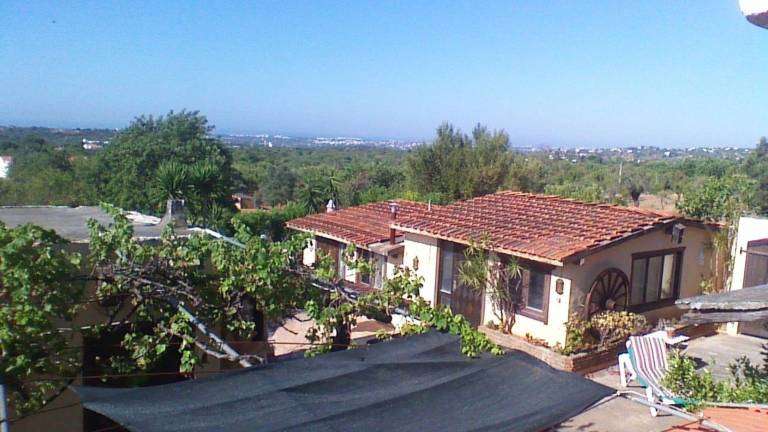 foto46