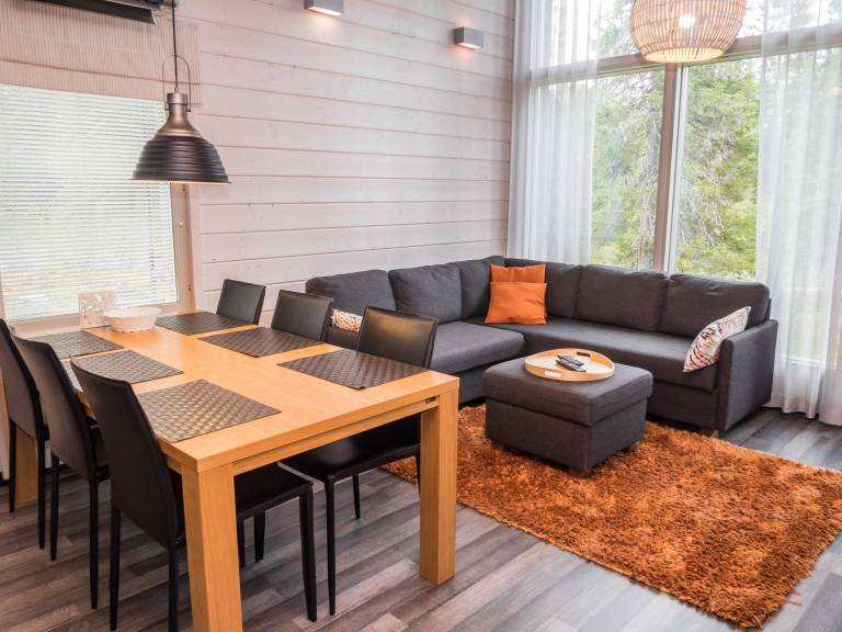 Vacation home with sauna — photo 3