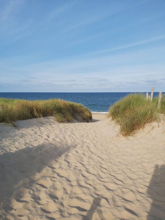 Ferienhaus Petten