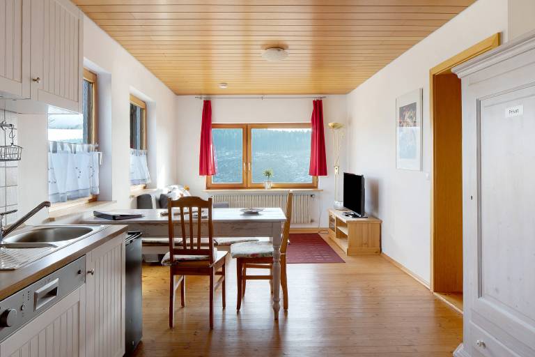 Apartment 'Haus Wintersonne - FeWo Auerhahn' with Shared Garden, Balcony and Wi-Fi in Feldberg