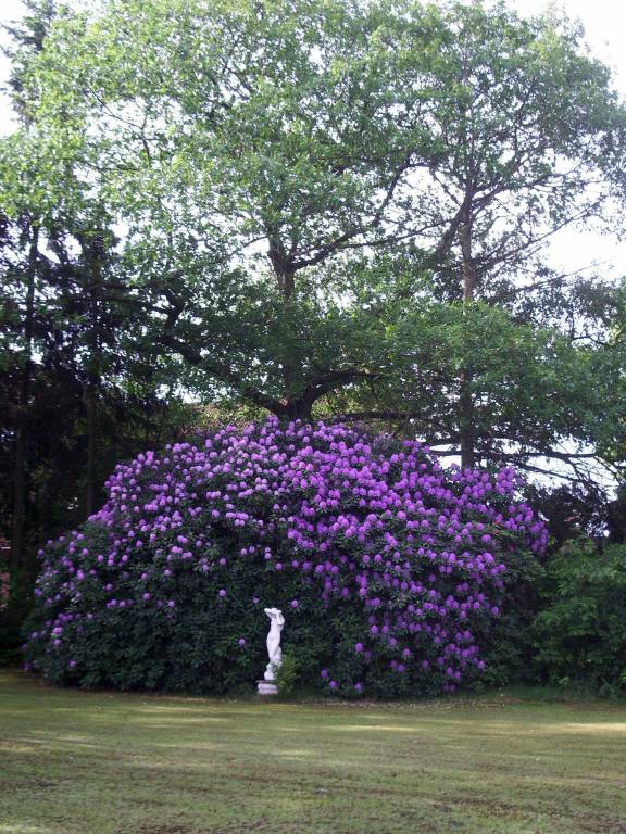 foto10