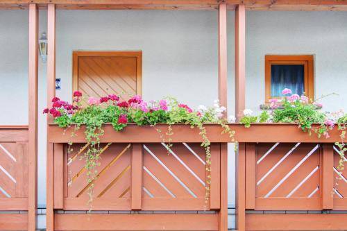 House  Landstuhl