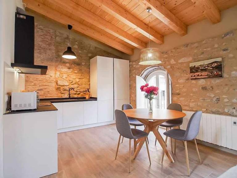 Apartamento Besalú