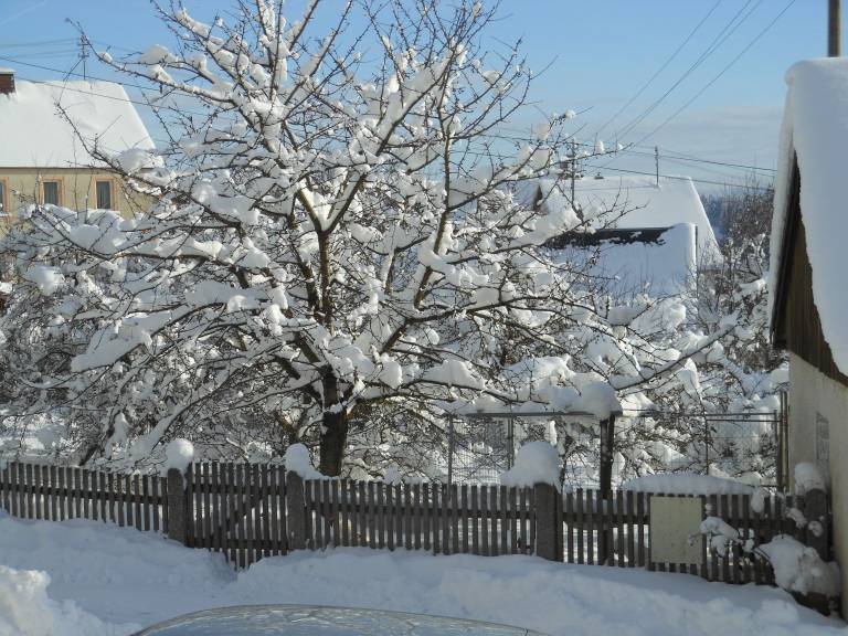 foto6
