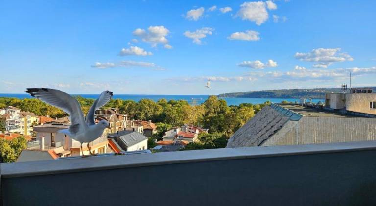 Holiday apartment with terrace in Varna